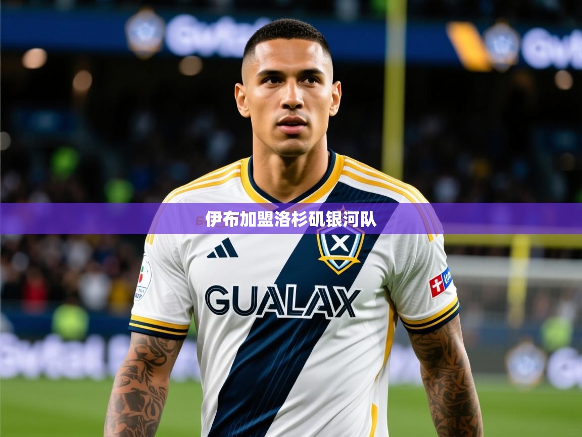 2025乐鱼体育 vip 注册伊布加盟洛杉矶银河队