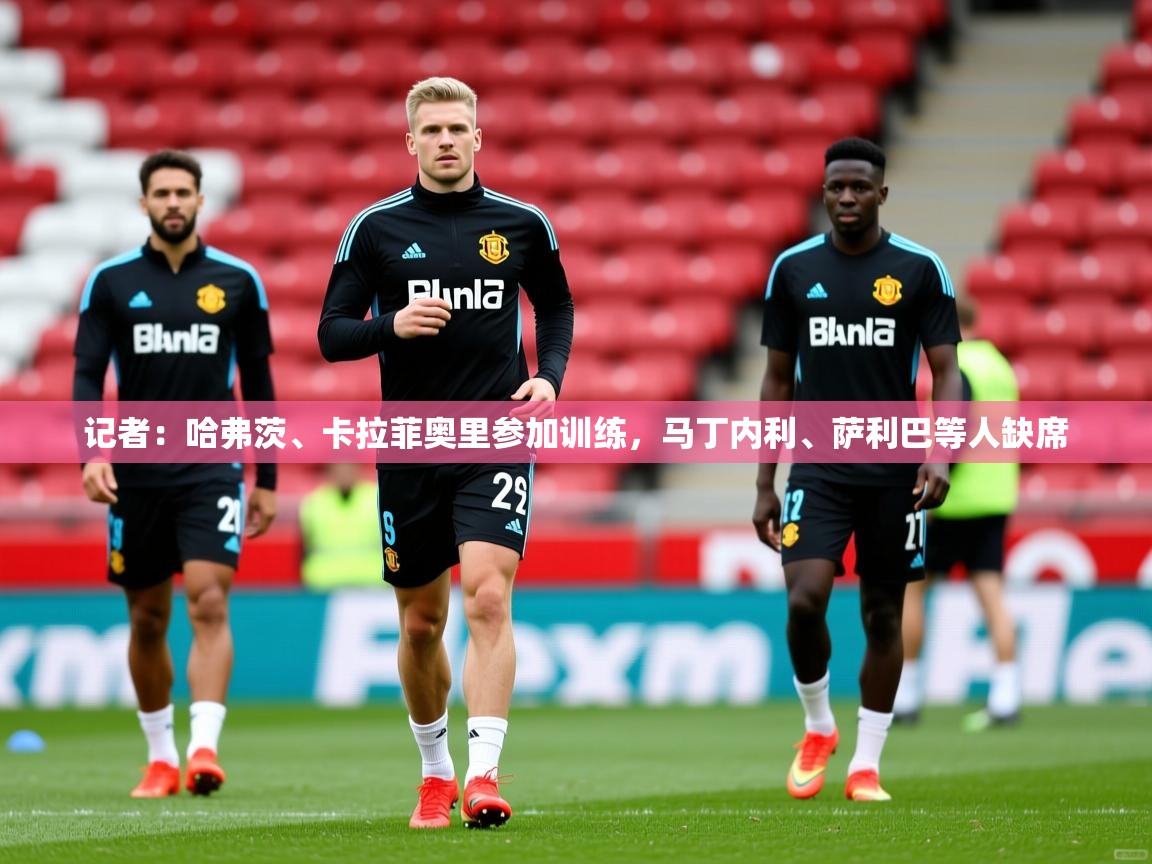 2025乐鱼体育在线官网记者:哈弗茨、卡拉菲奥里参加训练,马丁内利、萨利巴等人缺席 第2张