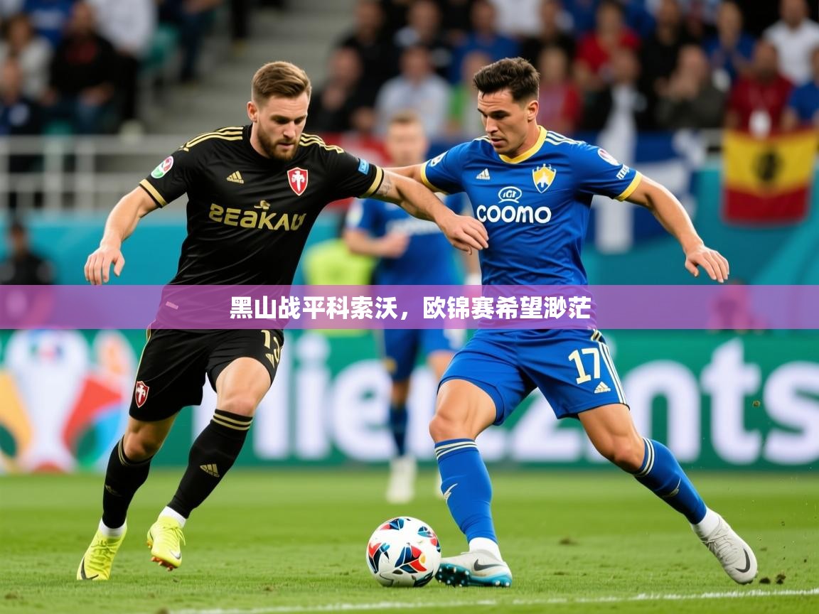 2026乐鱼体育黑山战平科索沃，欧锦赛希望渺茫  第3张