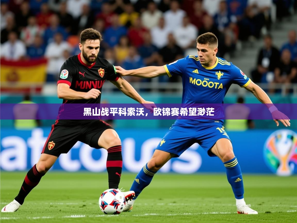 2026乐鱼体育黑山战平科索沃，欧锦赛希望渺茫  第2张